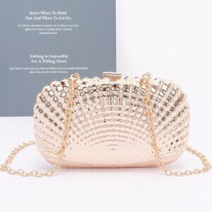 Metal Case Clutch